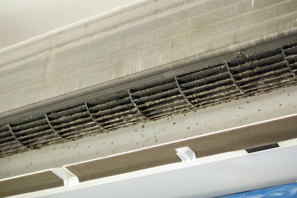 Best Professional Duct Cleaning Services  in Round Lake Heights, IL