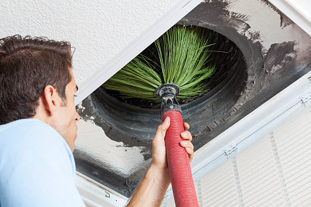 Best Home Air Vent Cleaning  in Round Lake Heights, IL